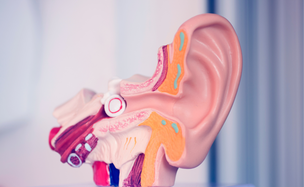 Hearing Health